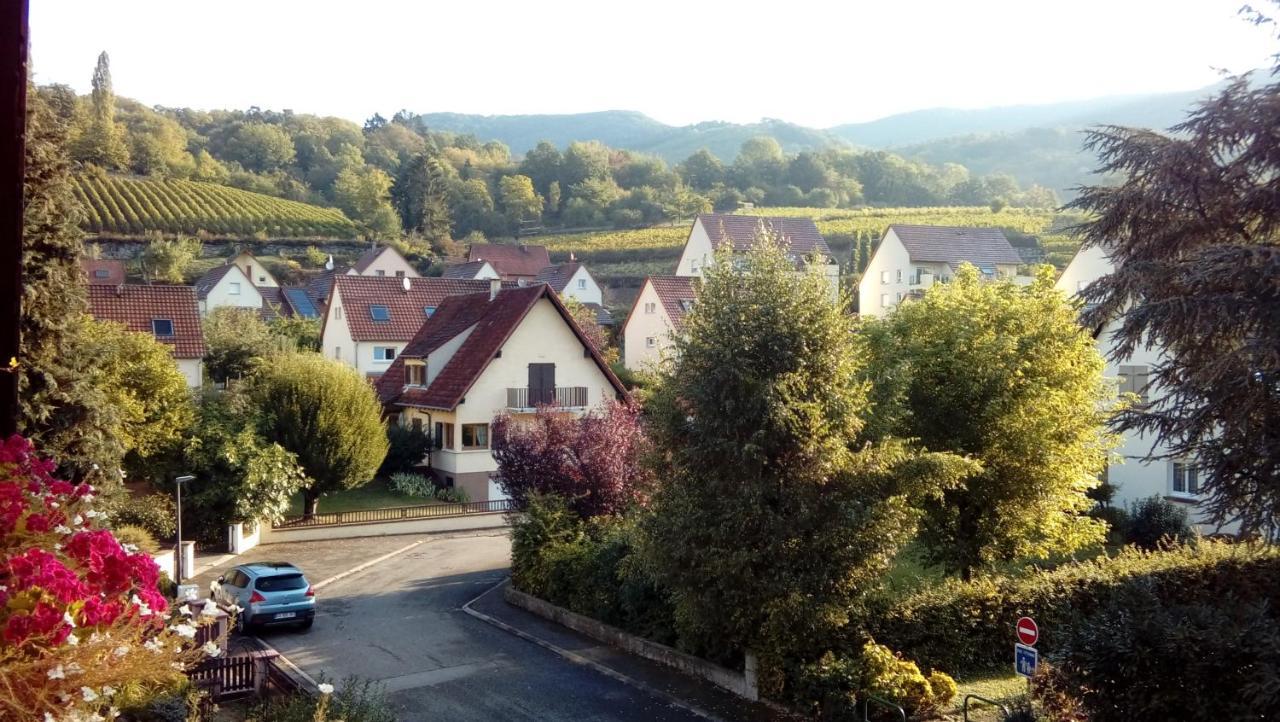 Marcia Donatti - A L'Ombre Des Coteaux Sao Paulo Hotel Kaysersberg-Vignoble Kültér fotó
