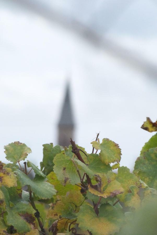 Marcia Donatti - A L'Ombre Des Coteaux Sao Paulo Hotel Kaysersberg-Vignoble Kültér fotó