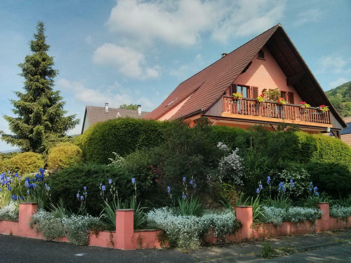Marcia Donatti - A L'Ombre Des Coteaux Sao Paulo Hotel Kaysersberg-Vignoble Kültér fotó